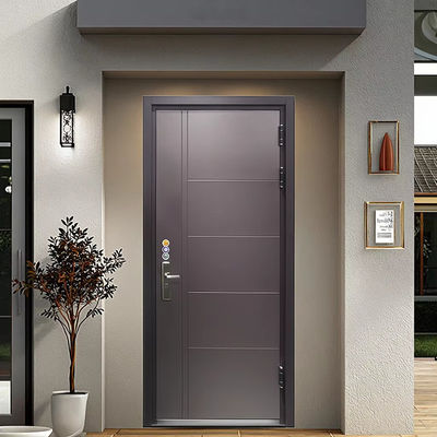 Modern Simple Design Steel Entrance Door for House Factory Anti-theft Swing Open Style Outdoor Application Interior Position