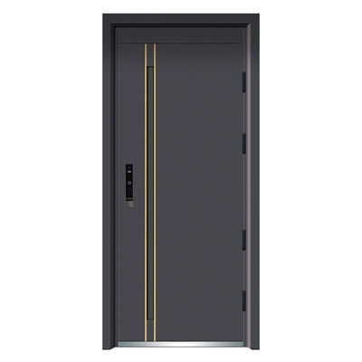 New Modern Italy Design Hot Sale Metal Other Front Entry Door Cheap Price Exterior Steel Security Doors for Houses