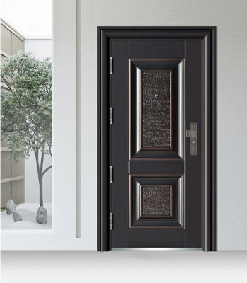 China French Hot Sale Exterior Interior Metal Front Doors Security Steel Door for House Design