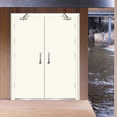 China China Fire Door Frameless Power Coating One Set Fire Rated Metal Door 36 84 With 10 Door Closer Hinge With UL Listed With Smart Lock