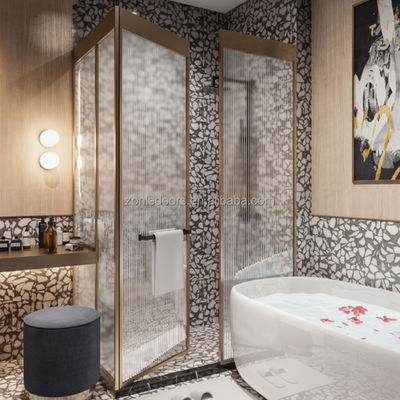 Custom Design 10 Mm Frameless 2 Panel Black Bifold Bathroom Screen Single Hinge Glass Shower Doors