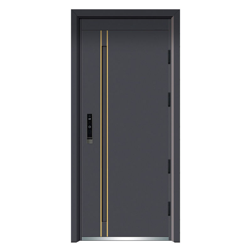 New Modern Italy Design Hot Sale Metal Other Front Entry Door Cheap Price Exterior Steel Security Doors for Houses