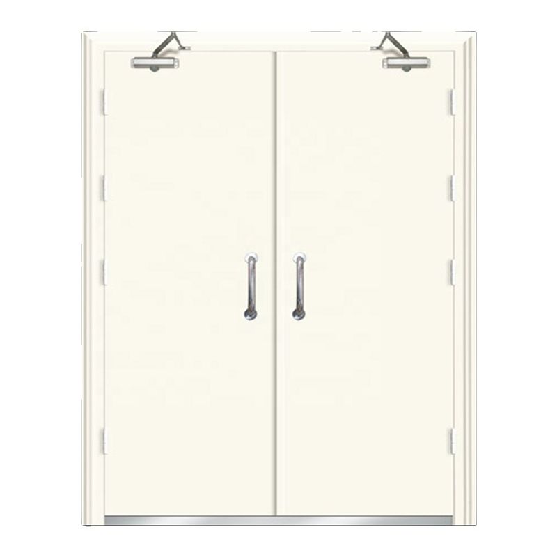 China China Fire Door Frameless Power Coating One Set Fire Rated Metal Door 36 84 With 10 Door Closer Hinge With UL Listed With Smart Lock